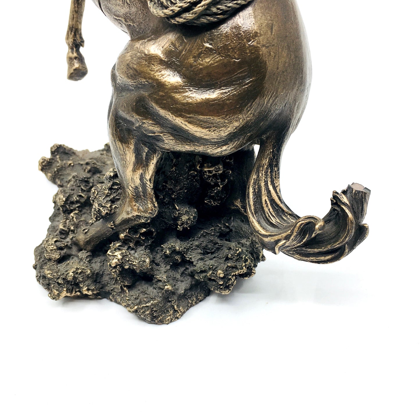 At Sırtında Rodeo Yapan Amerikan Kovboy Biblo