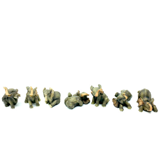 7'li Fil Biblo Seti Şans ve Bereket Bibloları