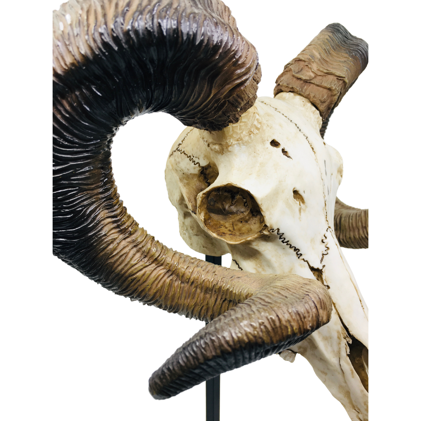 Gerçekçi Koç Başı Kafatası Ayaklı Dekoratif Obje