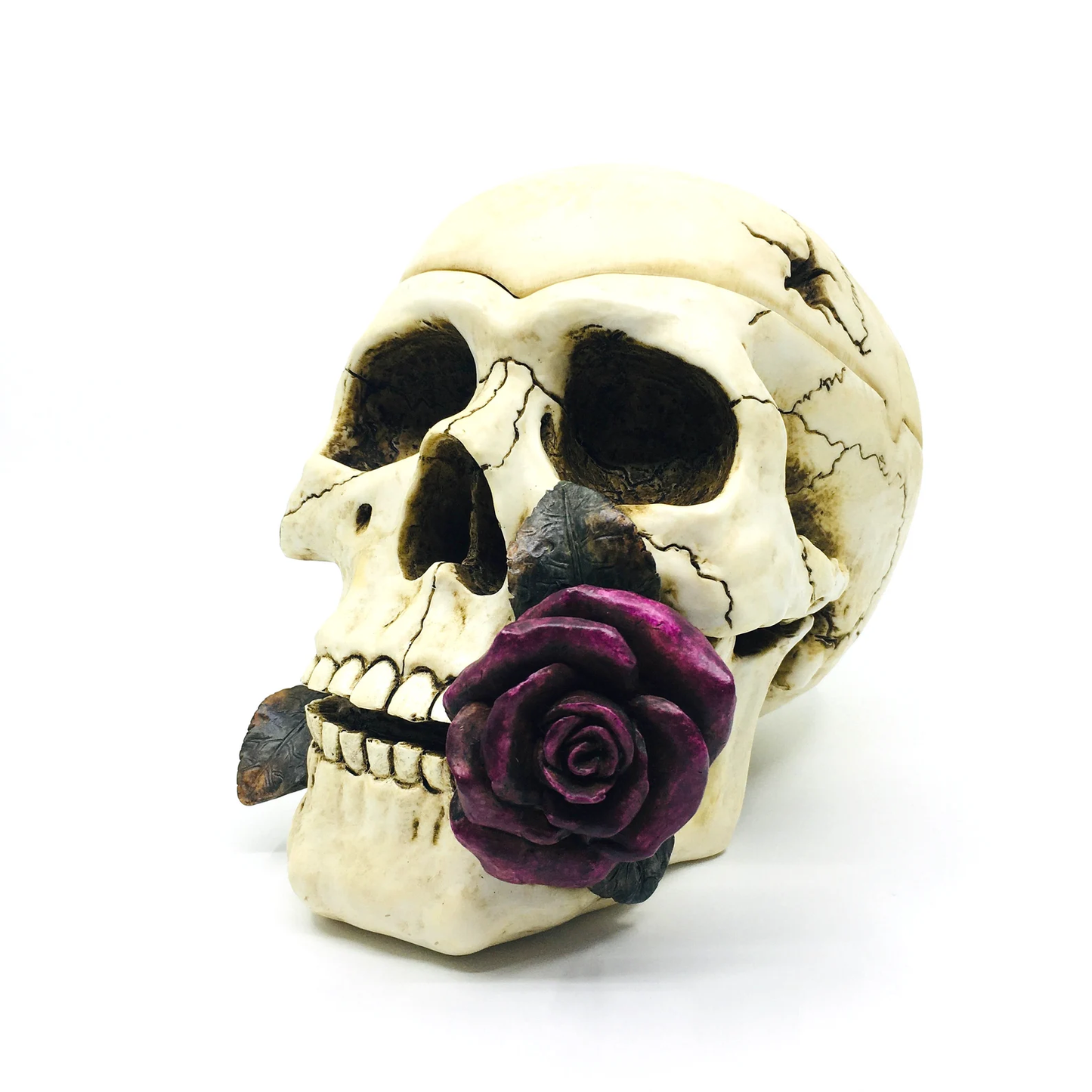 Skull Shaped Ashtray with Decorative Lid