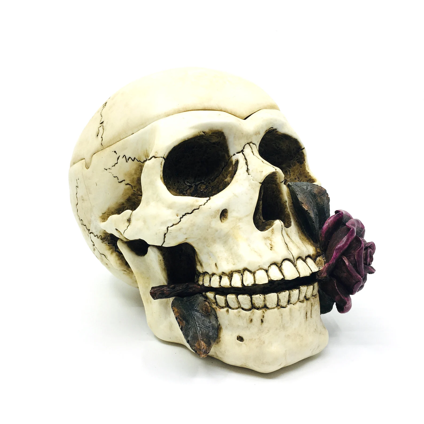 Skull Shaped Ashtray with Decorative Lid