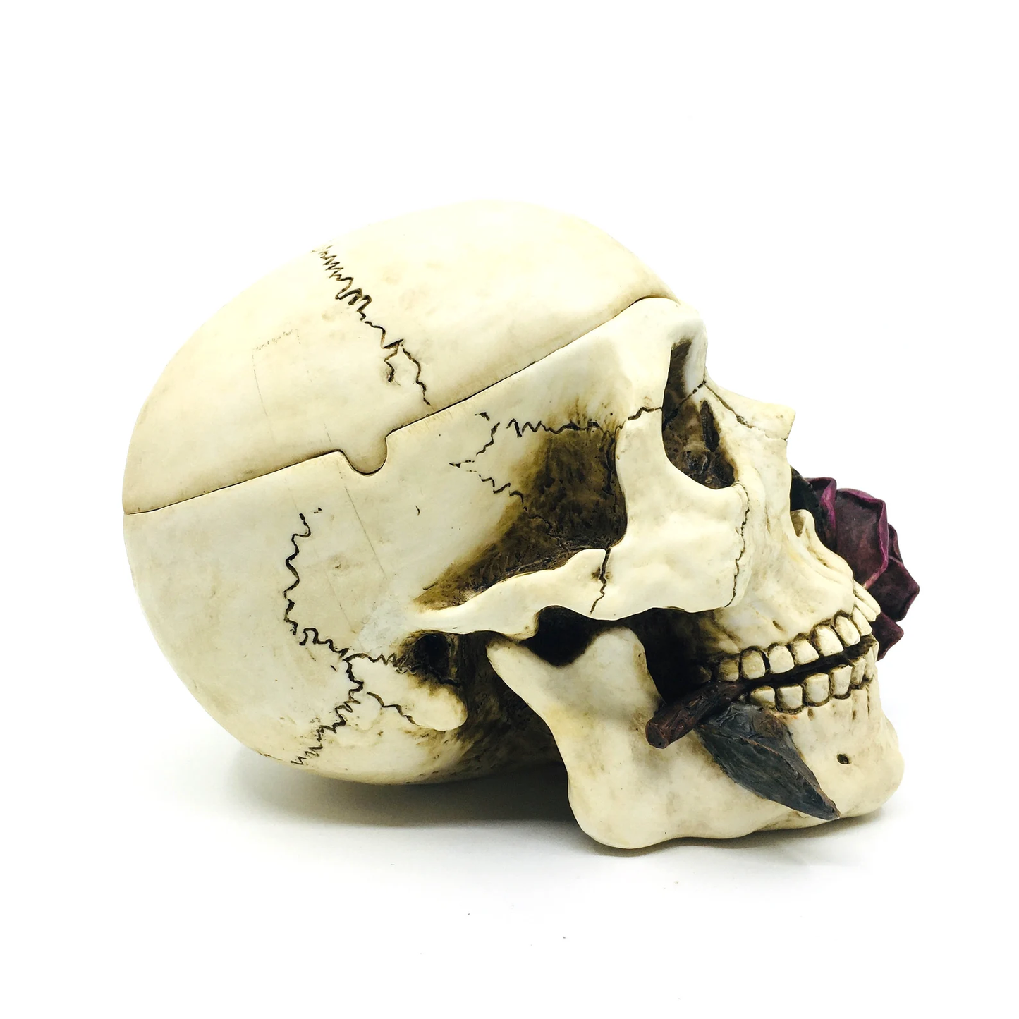 Skull Shaped Ashtray with Decorative Lid