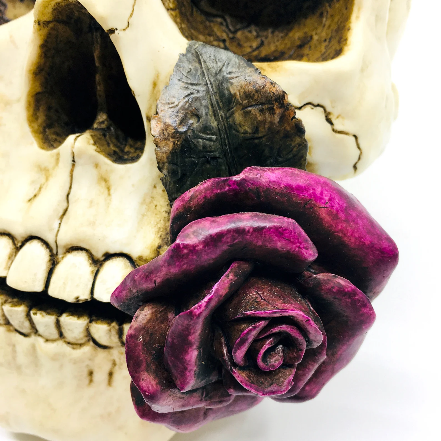 Skull Shaped Ashtray with Decorative Lid