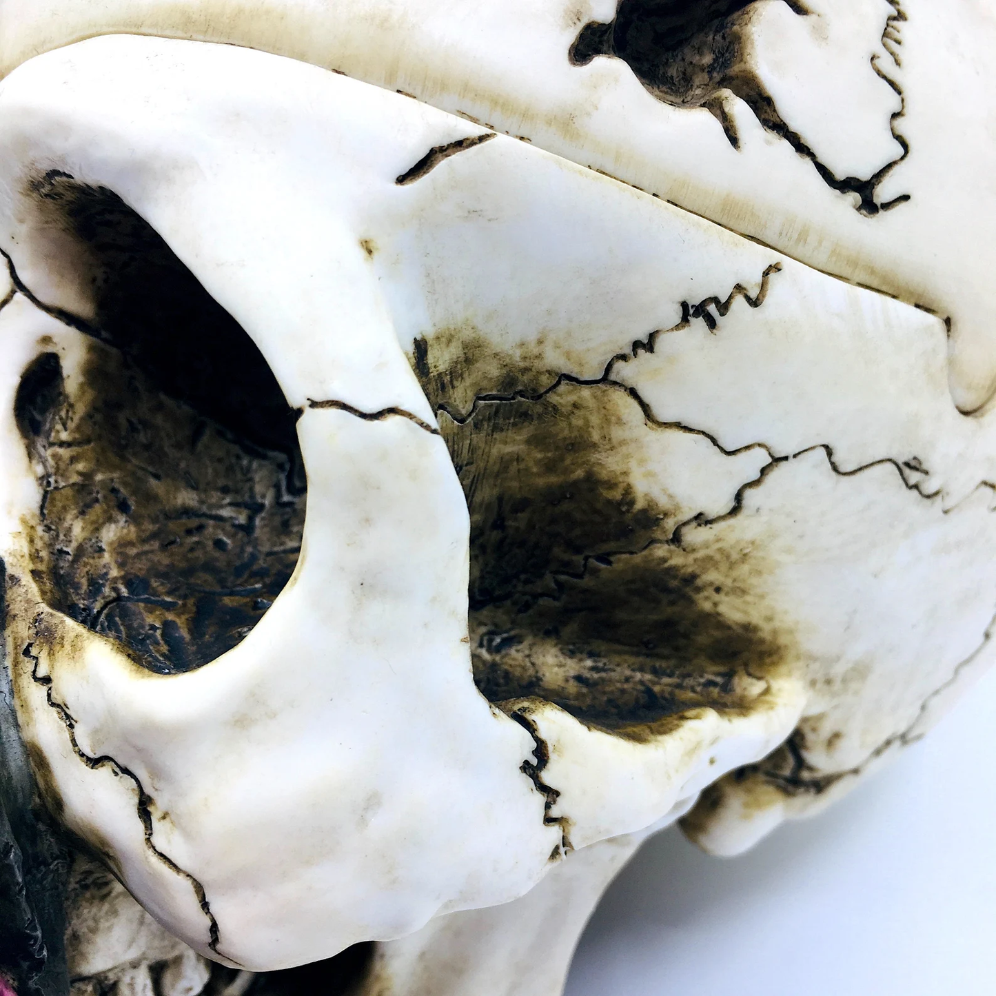 Skull Shaped Ashtray with Decorative Lid