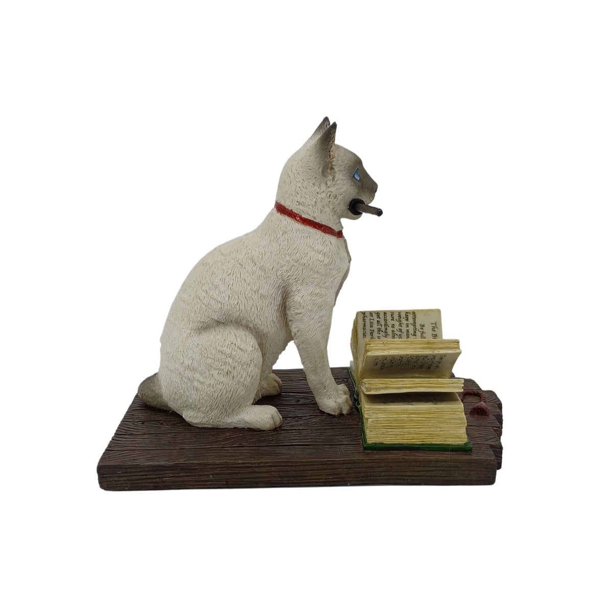 Tasarım Sihirbaz Siyam Kedi Biblosu