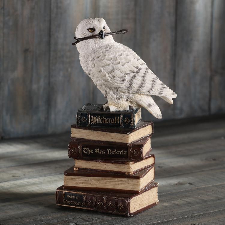 Veronese Kar Baykuşu Biblo Kitap Üstünde – WU77755AA