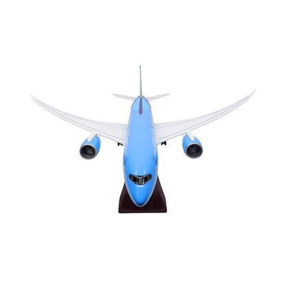 Etihad Airways Manchester City 1:100 Ölçekli Boeing Model Uçak