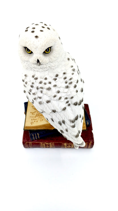 Veronese Kitap Üstünde Kar Baykuşu Biblo 17,5 cm | WU78178AA