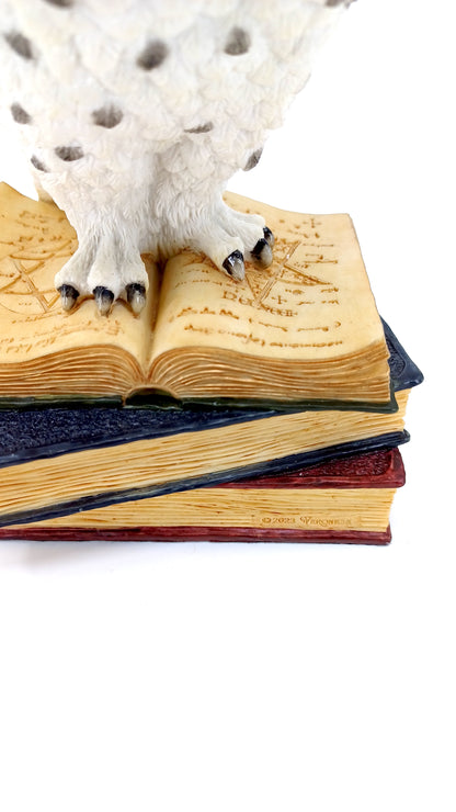 Veronese Kitap Üstünde Kar Baykuşu Biblo 17,5 cm | WU78178AA