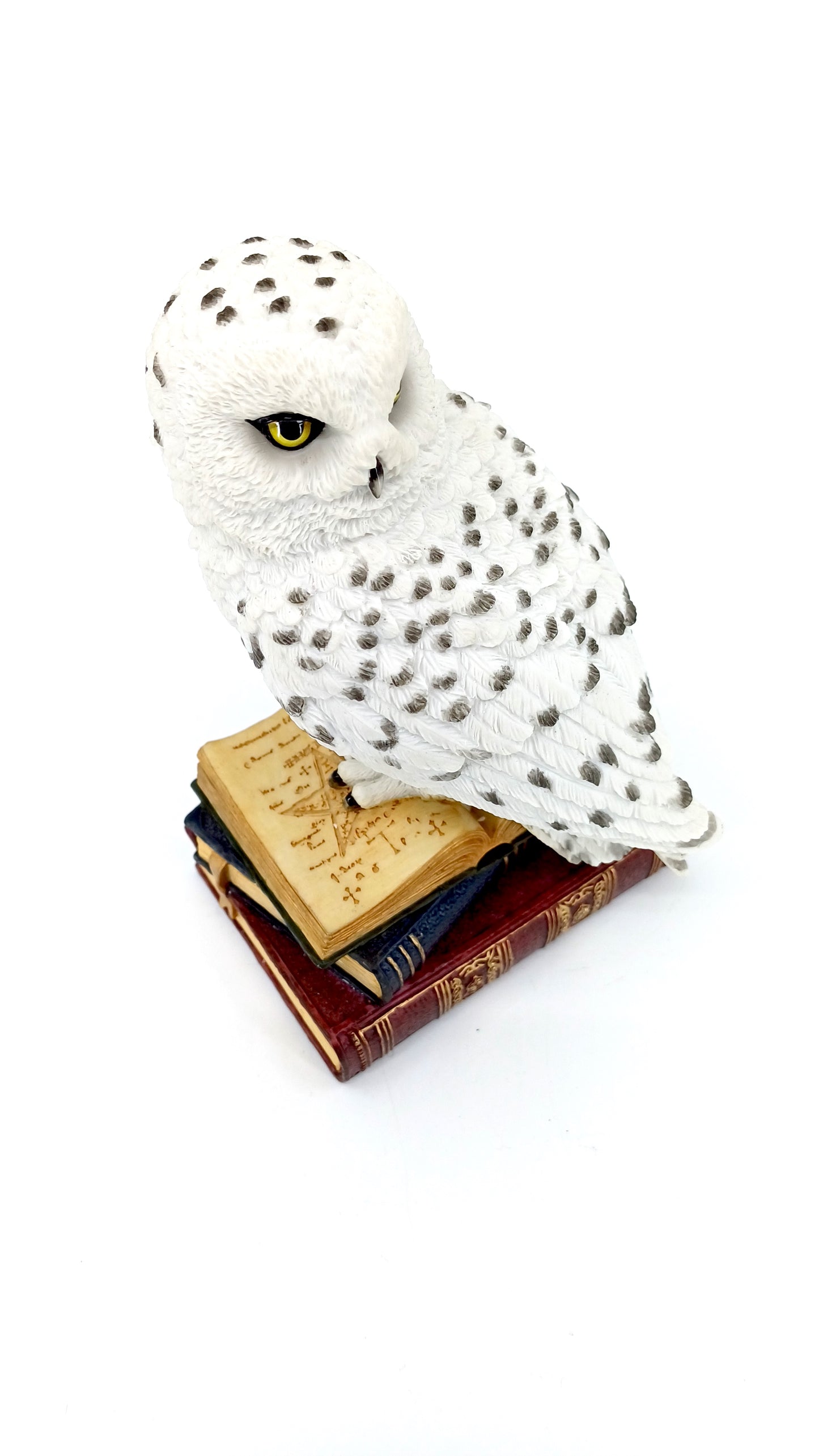 Veronese Kitap Üstünde Kar Baykuşu Biblo 17,5 cm | WU78178AA